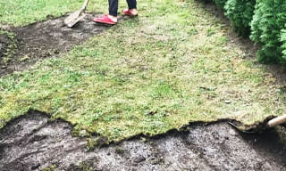 Снятие дерна старого газона в Лянторе – от 528 руб. | 2Землекопа-Лнт